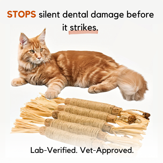 Miro Natural Silvervine Dental Sticks