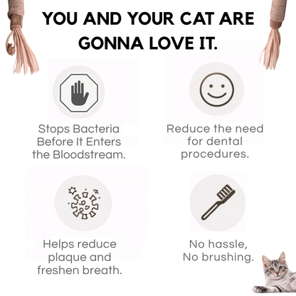 Miro Natural Silvervine Dental Sticks