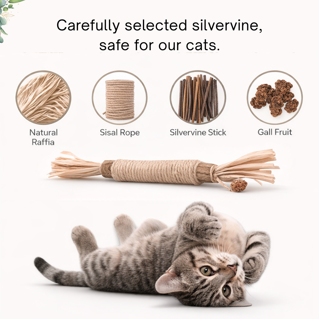 Miro Natural Silvervine Dental Sticks