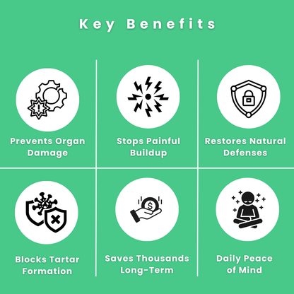 Catlabco™ Advanced Dental Spray