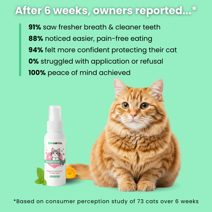 Catlabco™ Advanced Dental Spray