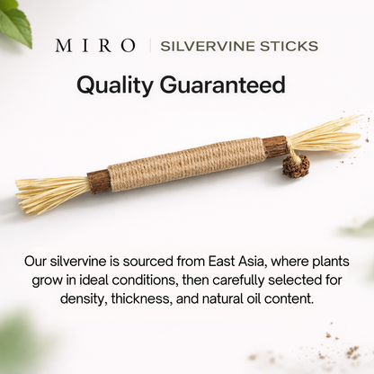Miro Natural Silvervine Dental Sticks