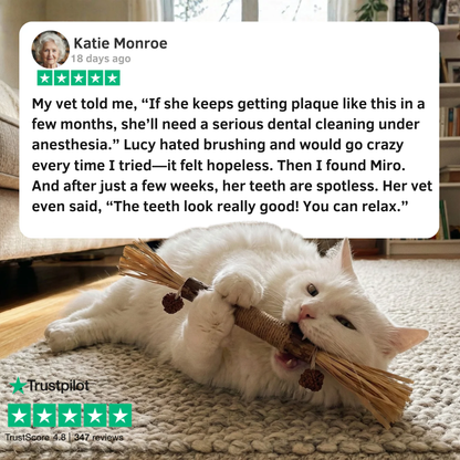 Miro Natural Silvervine Dental Sticks