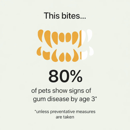 Miro Natural Silvervine Dental Sticks