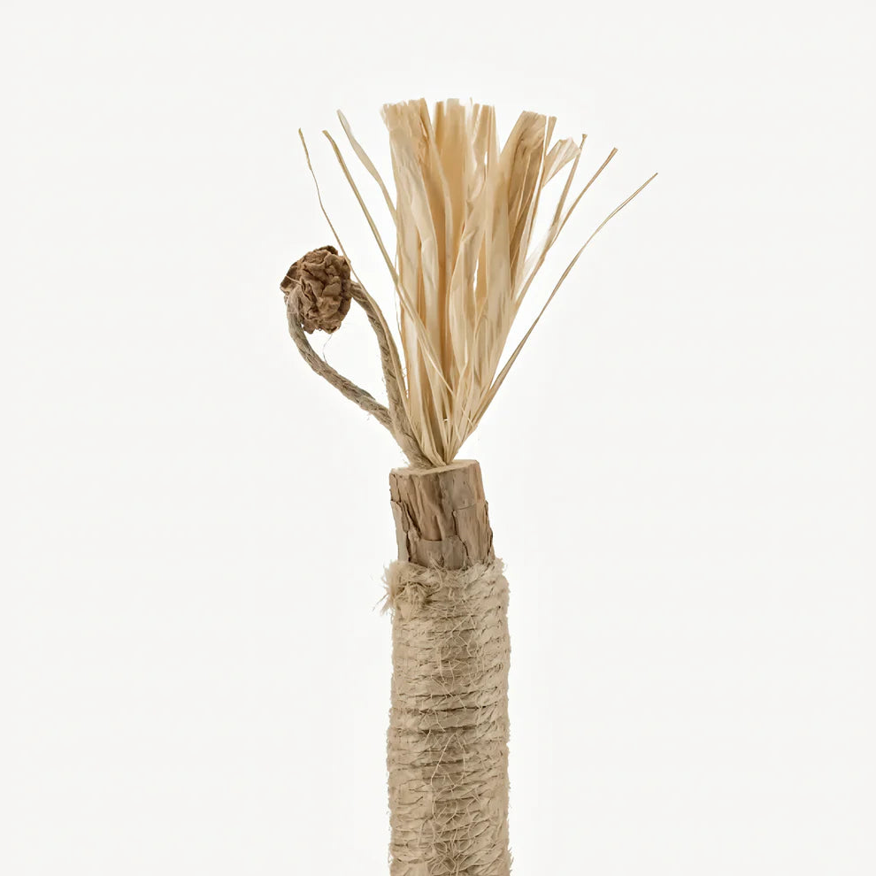 Miro Natural Silvervine Dental Sticks