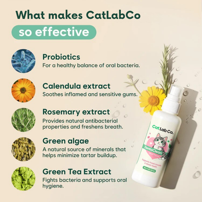 Catlabco™ Advanced Dental Spray