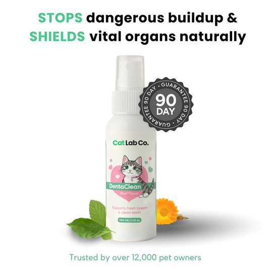 Catlabco™ Advanced Dental Spray