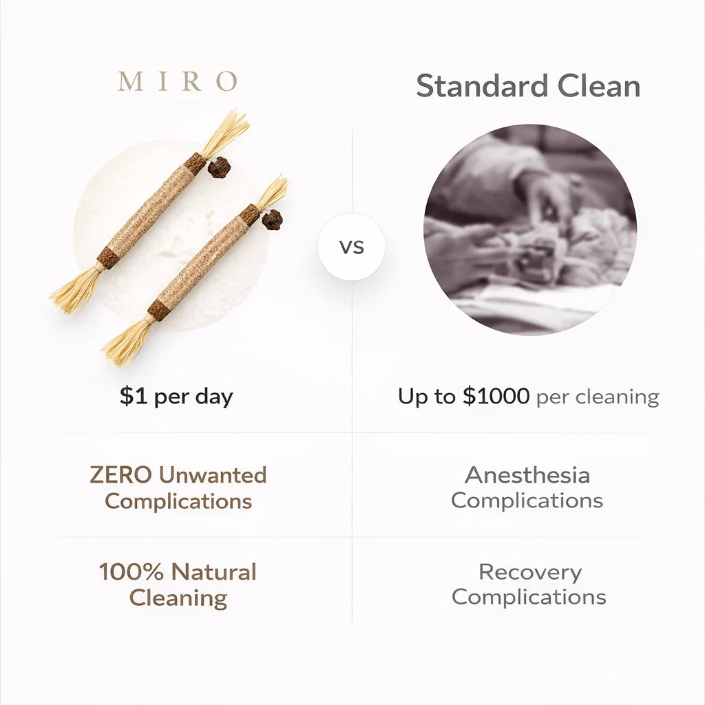 Miro Natural Silvervine Dental Sticks